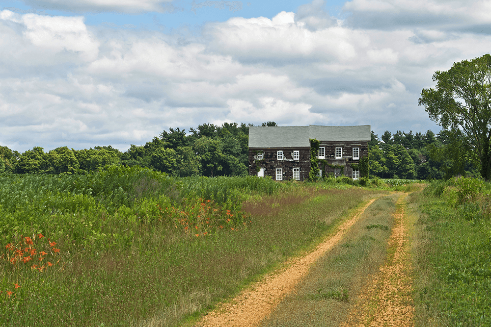 Farm property with house