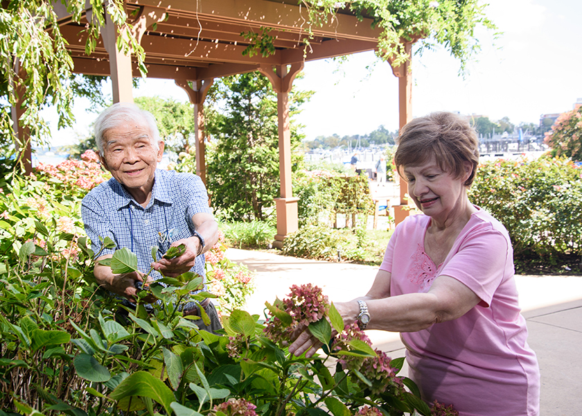Two seniors gardening