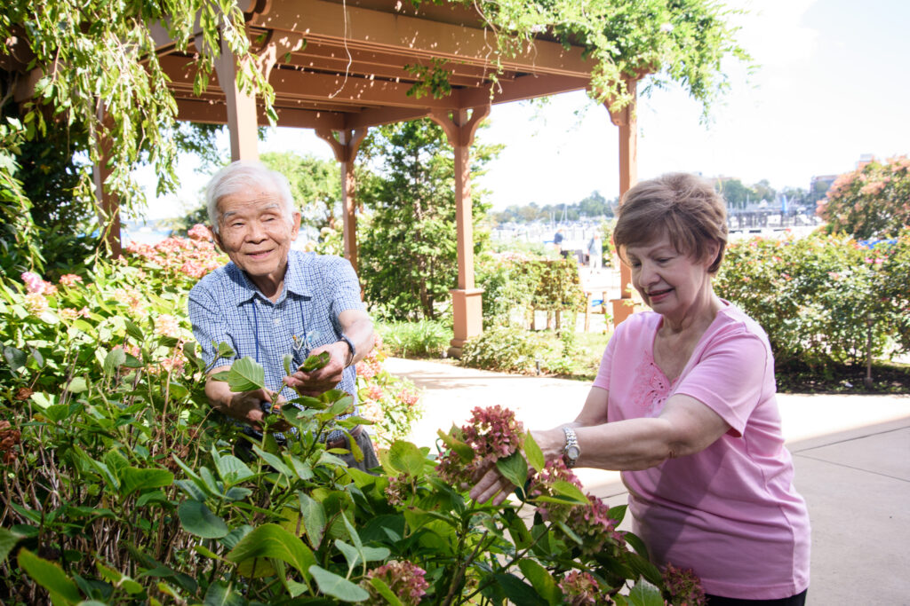 c87ddfbb-2021_theatrium-645-1024x683